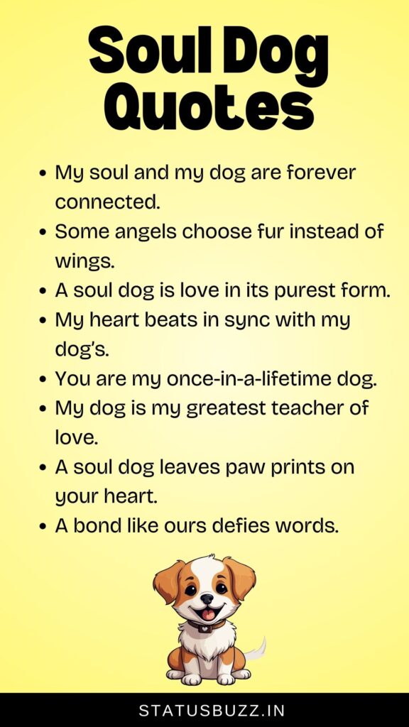 soul dog quotes