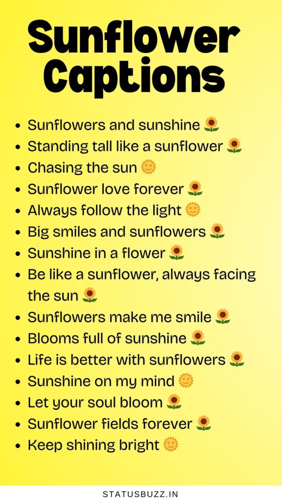 sunflower captions