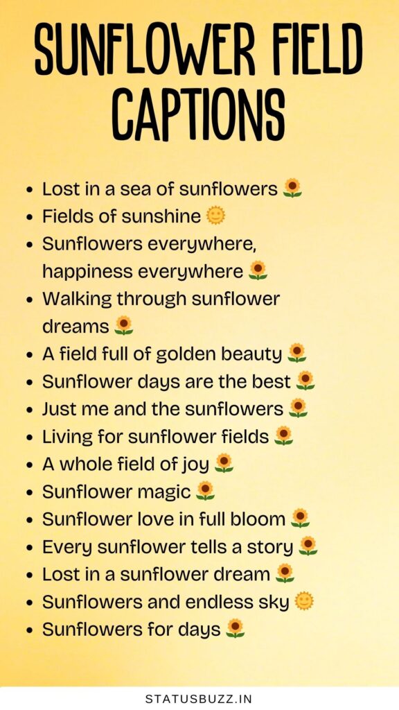 sunflower field captions