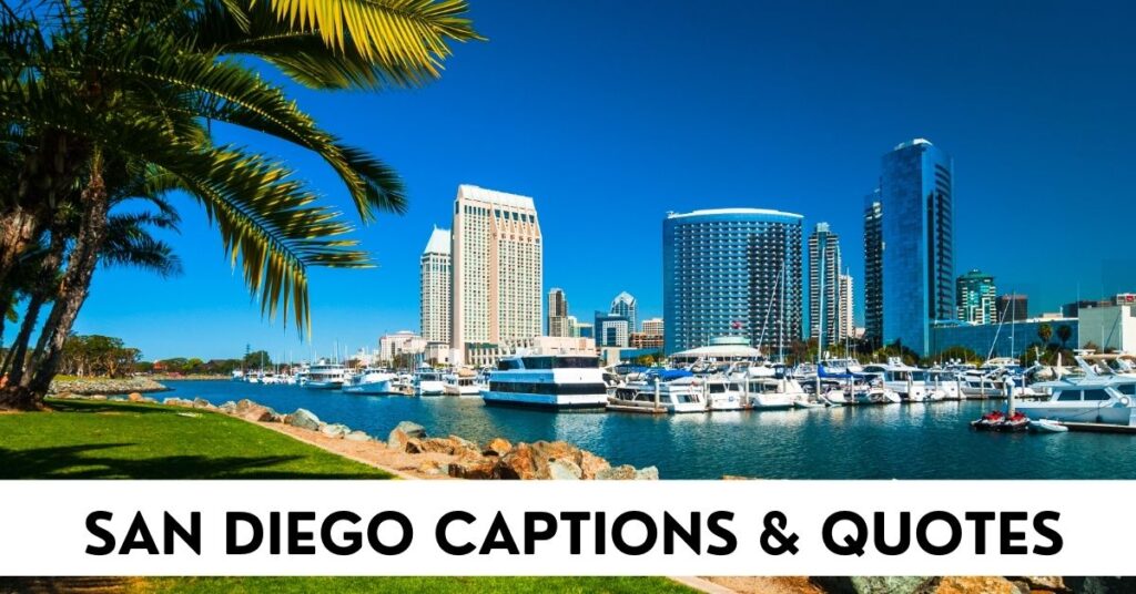 San Diego Captions