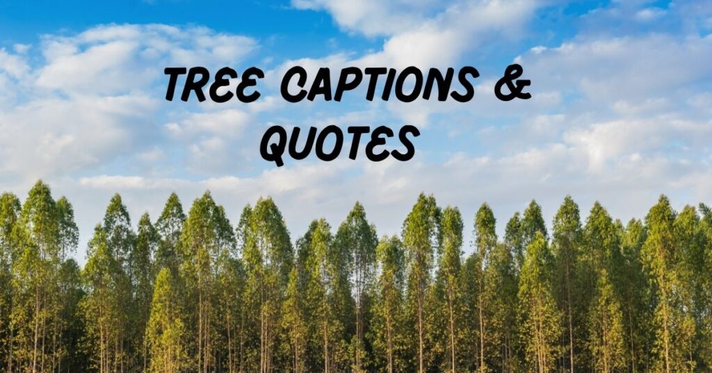 Tree Captions