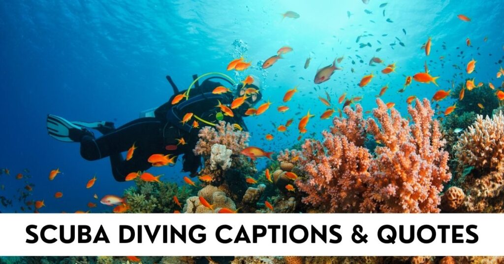 scuba diving captions and quotes