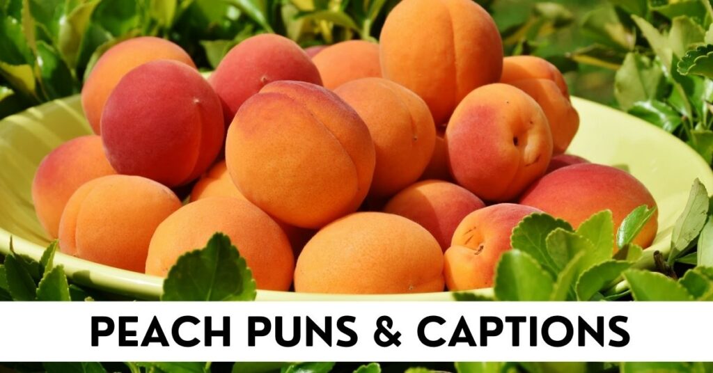 Peach Puns