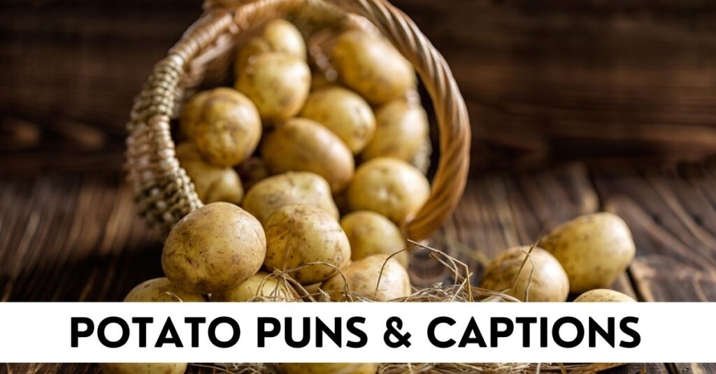 Potato Puns