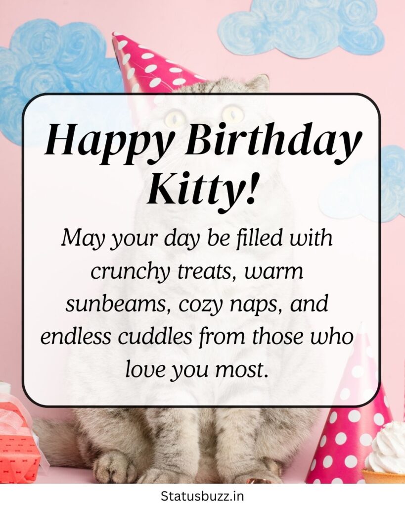 Cat Birthday Wishes