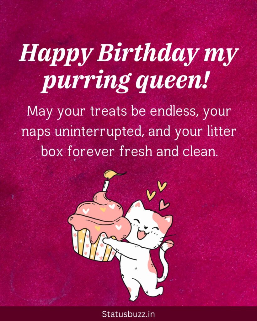 Cat Birthday Wishes