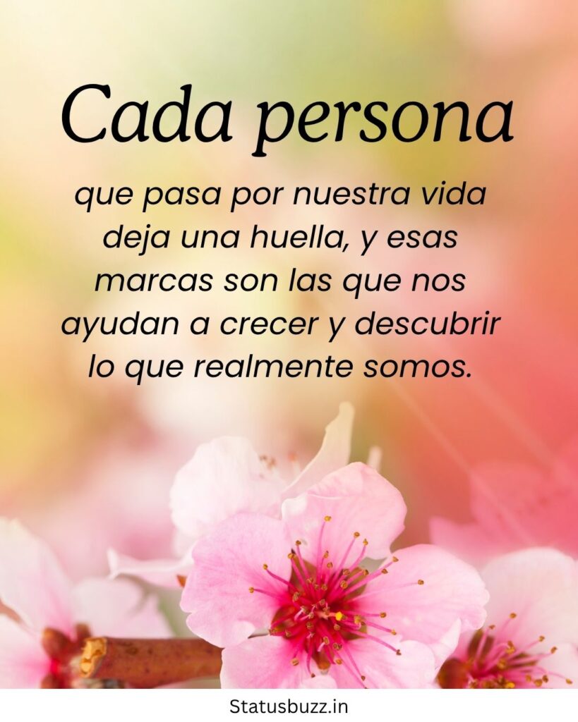 frases bonitas