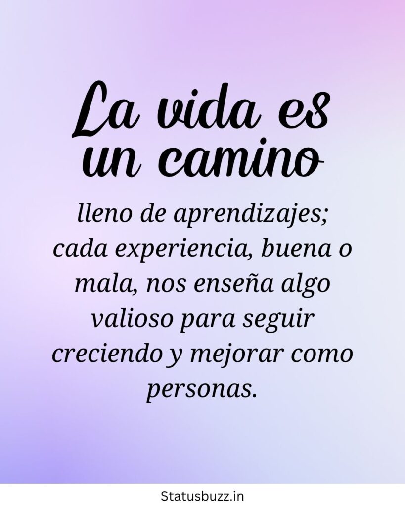 frases de reflexão da vida