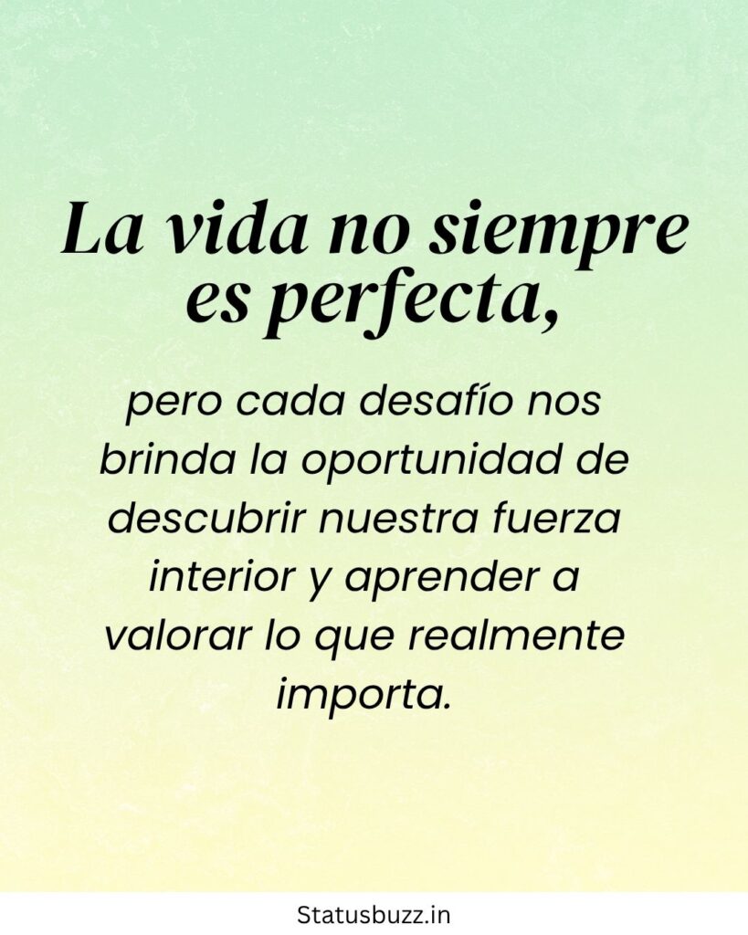 frases de reflexão da vida