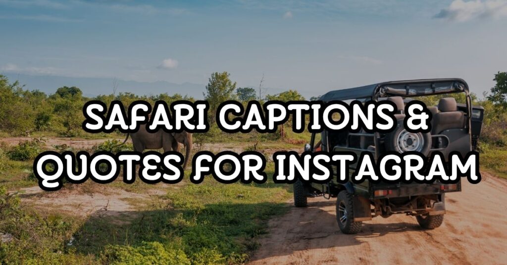 Safari Captions & Quotes For Instagram