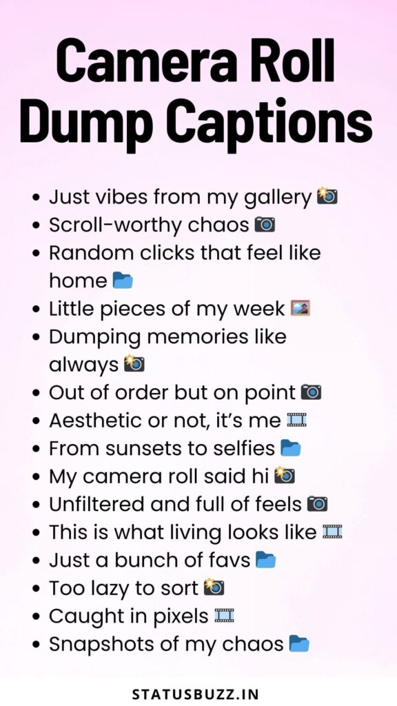 camera roll dump captions