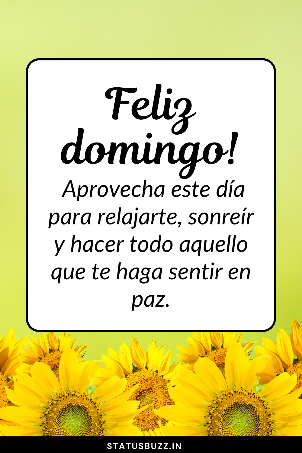120+ Frases de Feliz Domingo para Compartir Paz y Alegría - StatusBuzz