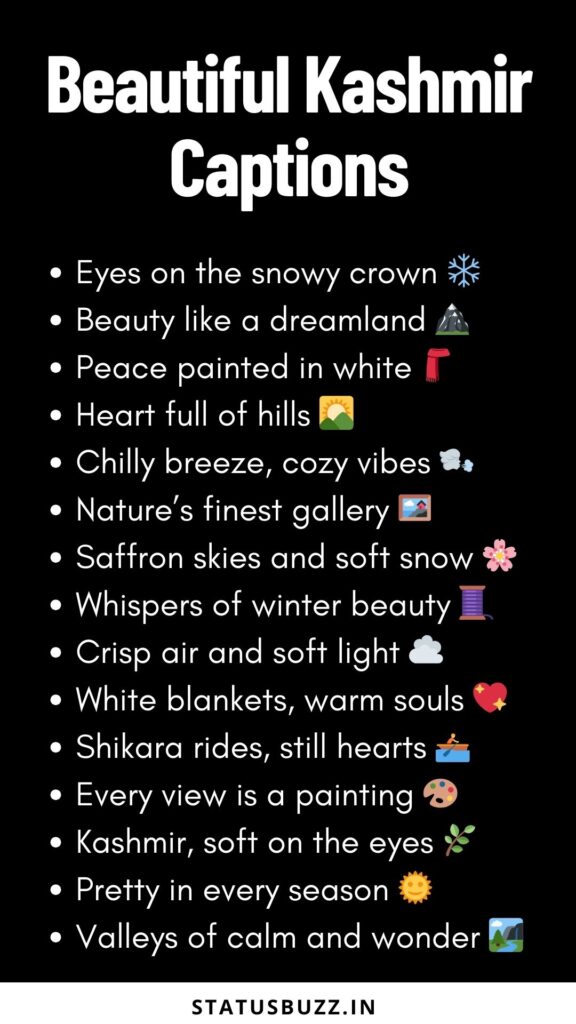 kashmir captions 