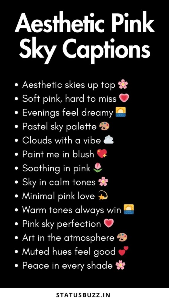 aesthetic pink sky captions