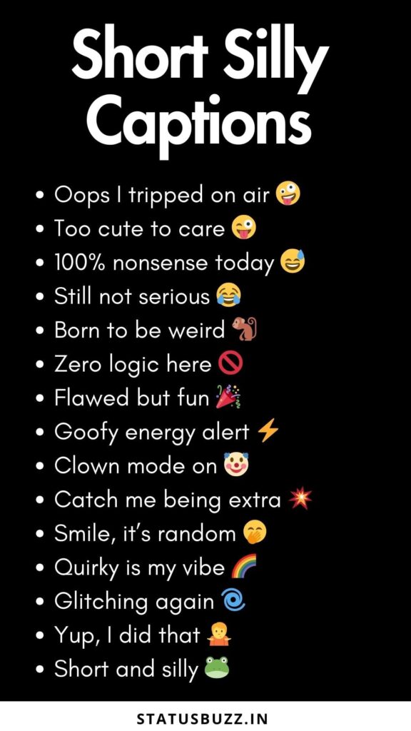 silly captions 