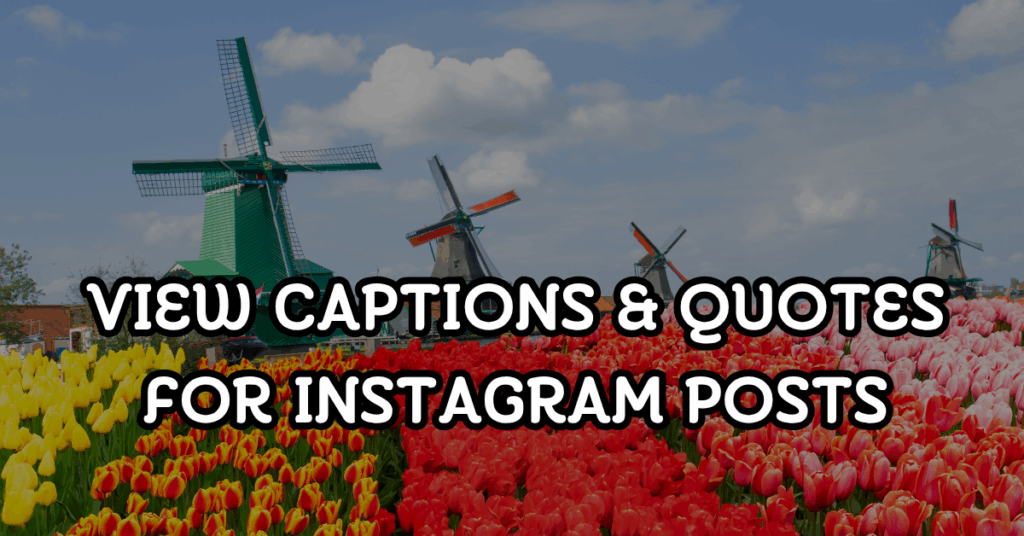view captions and quotes