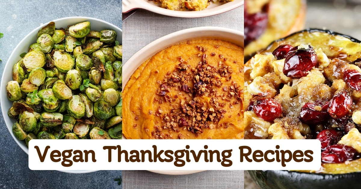 Vegan Thanksgiving Recipes for the Holiday