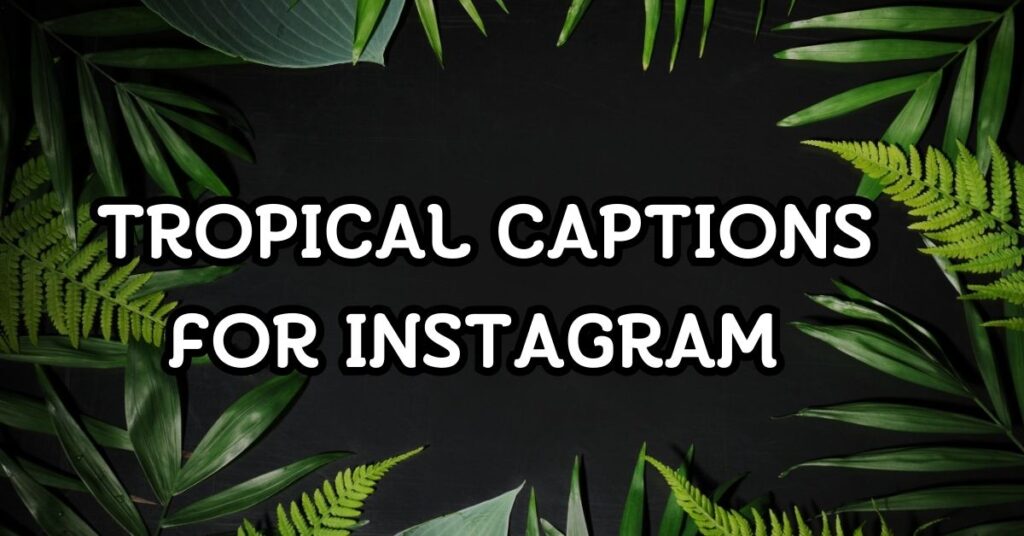 Tropical Captions For Instagram