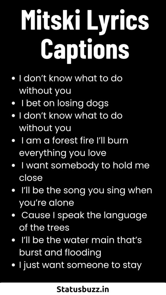 Mitski Lyrics Captions