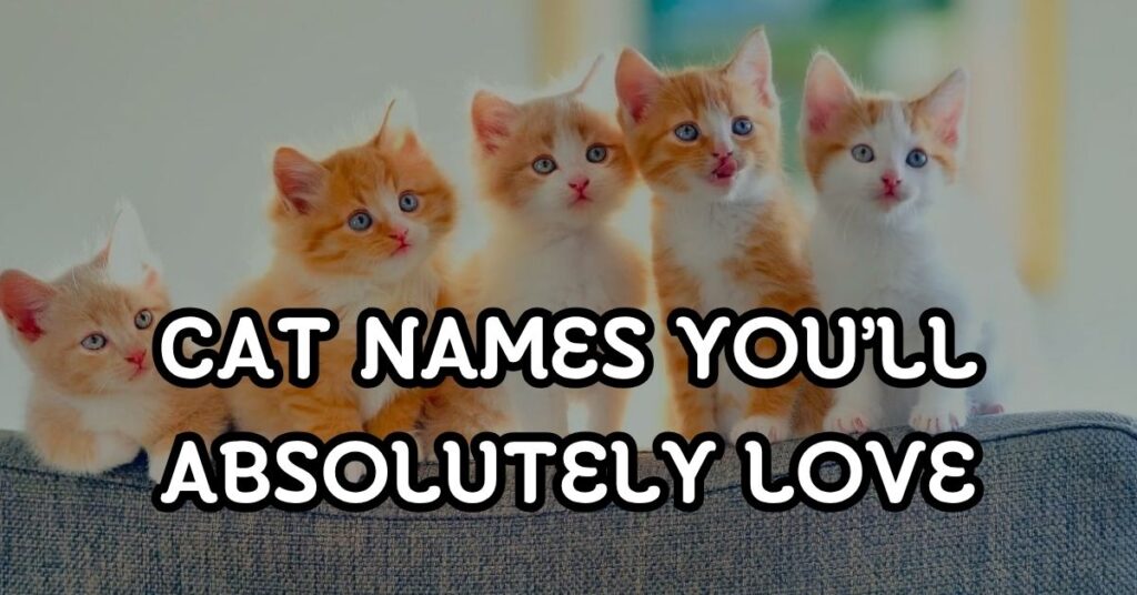 Unique Cat Names