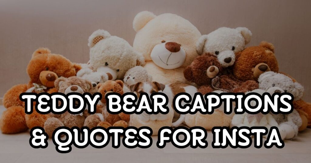 teddy bear captions and quotes