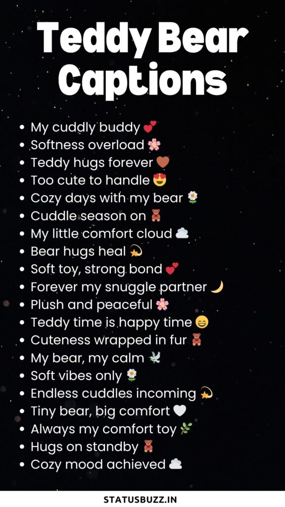 teddy bear captions
