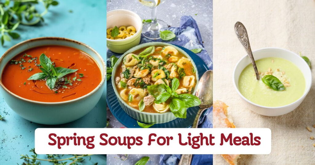 Spring Soups For Light & Cozy Meals