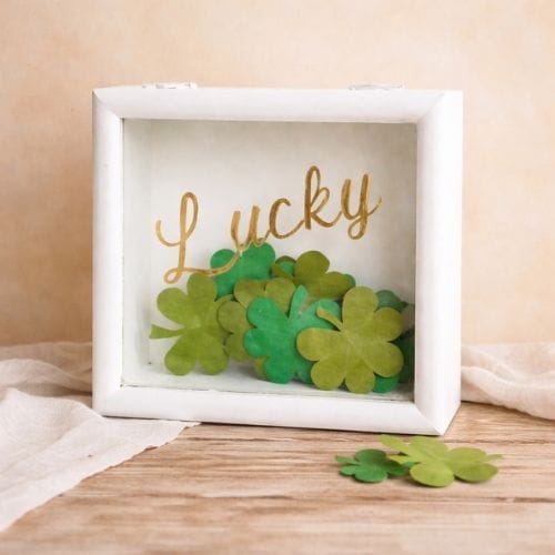 Lucky Charm Shadow Box