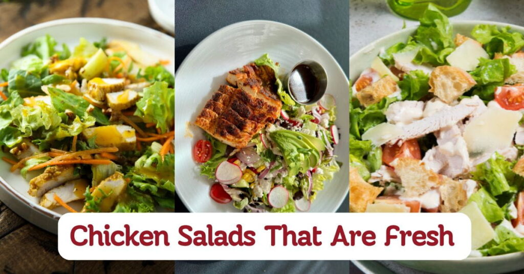 Chicken Salads That Are Fresh and Delicious