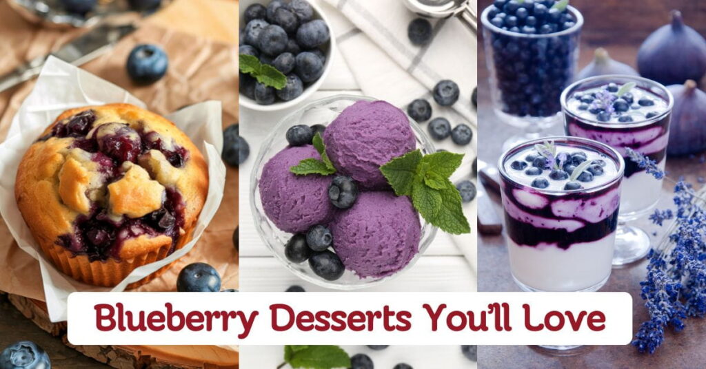 Delicious Blueberry Desserts You’ll Love