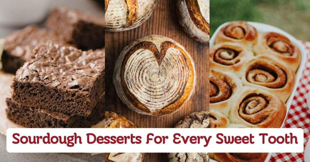 Sourdough Desserts for Every Sweet Tooth