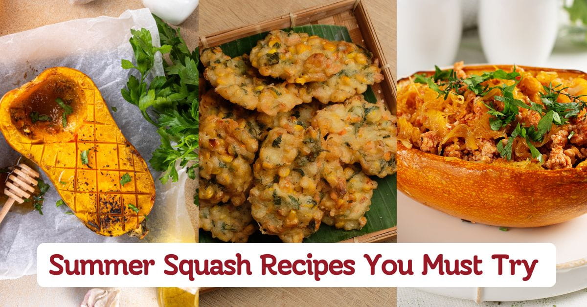 Summer Squash Recipes You Must Try