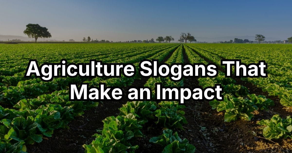 Agriculture Slogans That Make an Impact