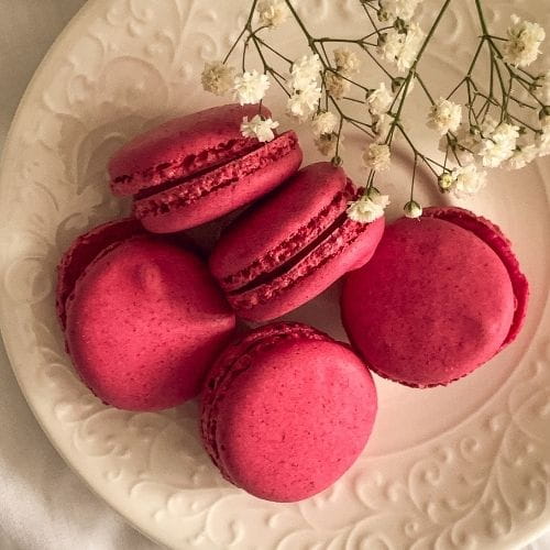 Pink Macarons