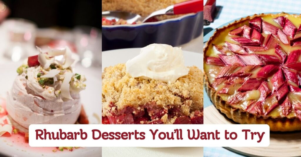 Rhubarb Desserts You’ll Want to Try